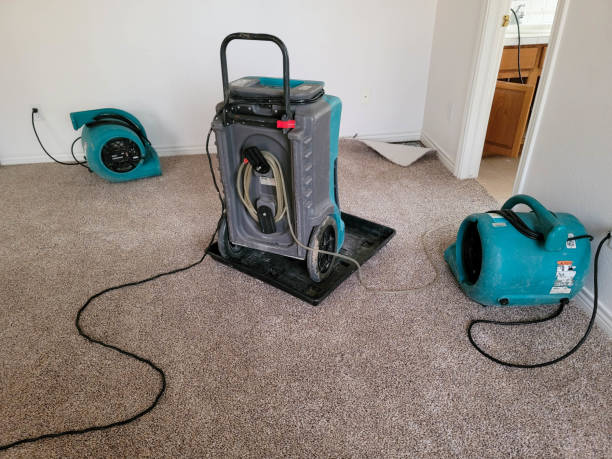 Best Mold removal after water damage  in Madera, CA