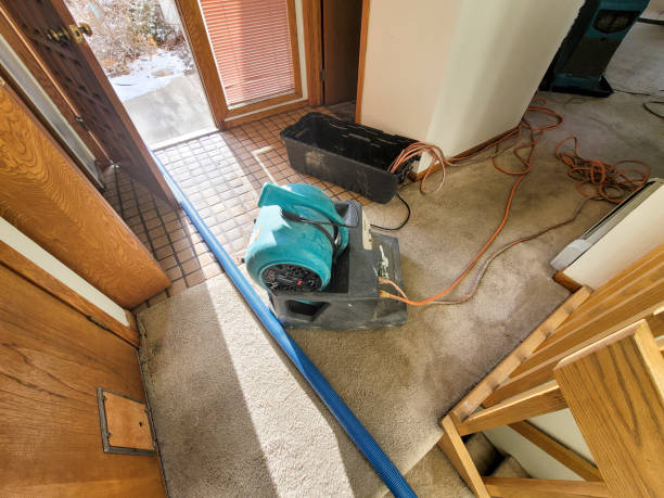 Best Carpet water damage restoration  in Madera, CA