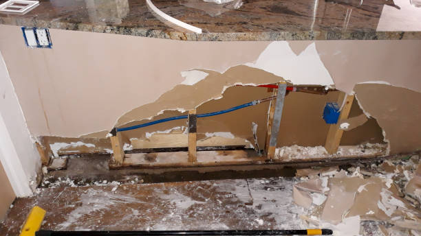 Best Water damage cleanup near me  in Madera, CA