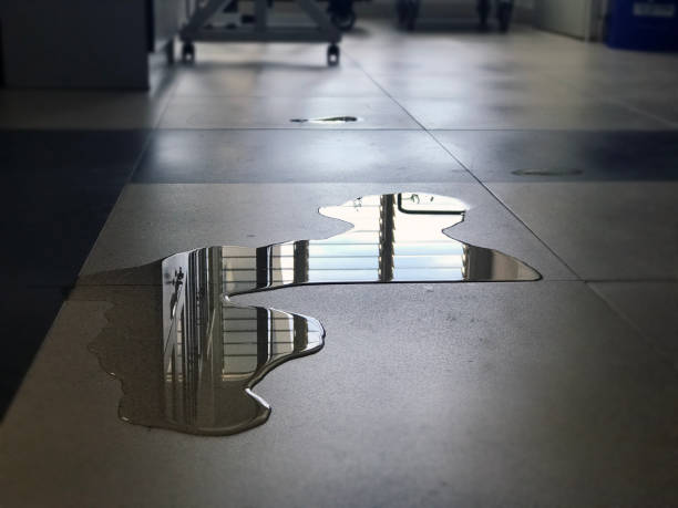 Water damage restoration experts in CA