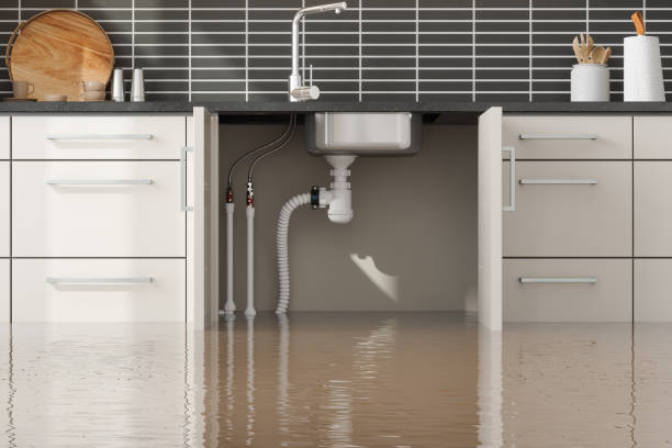 Best Basement water damage restoration  in Madera, CA
