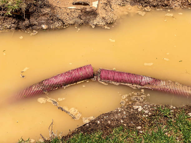 Best Mold removal after water damage  in Madera, CA