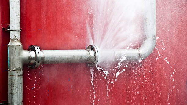 Best Local water damage restoration  in Madera, CA